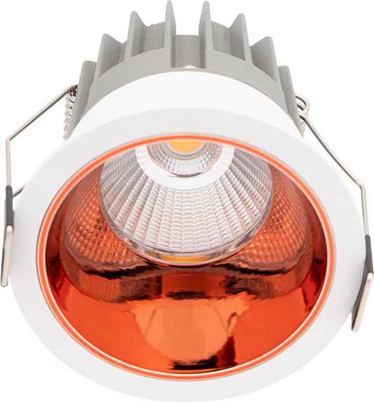 Fotunearrt COB curio CACW.