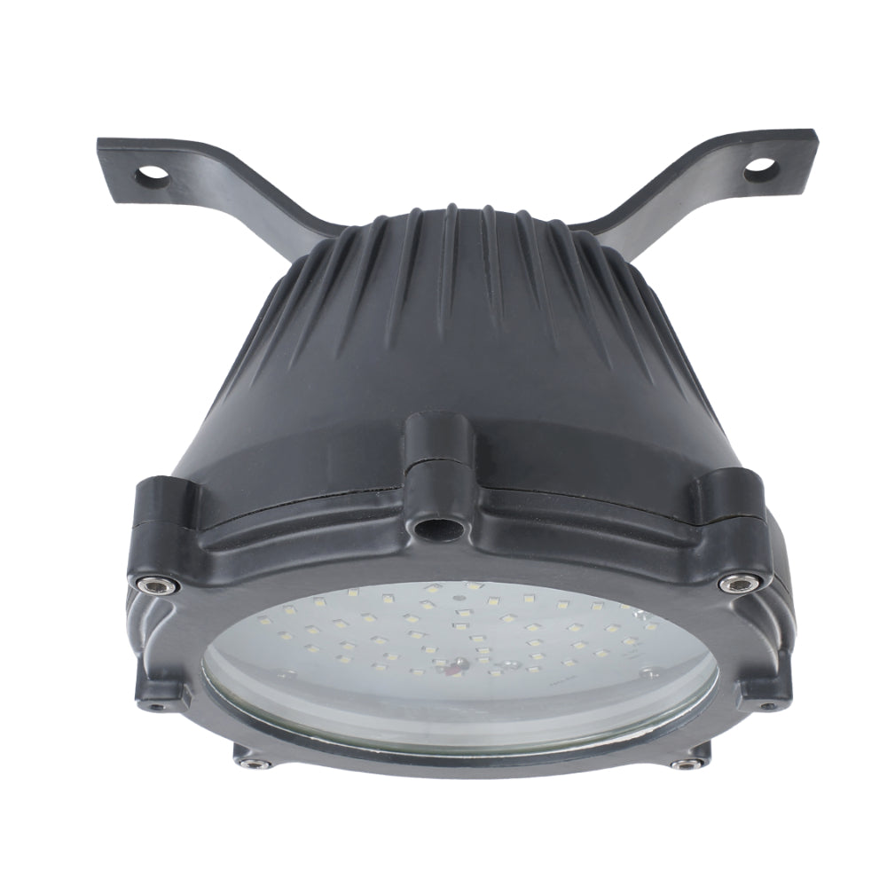 FortuneArrt 40 Watt Flame Proof Light