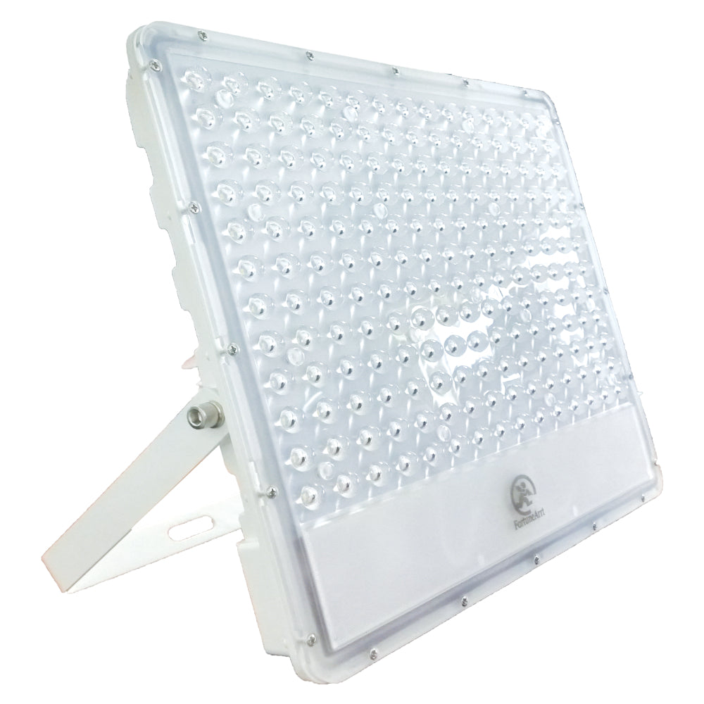 FortuneArrt Flood Light (FLJD)