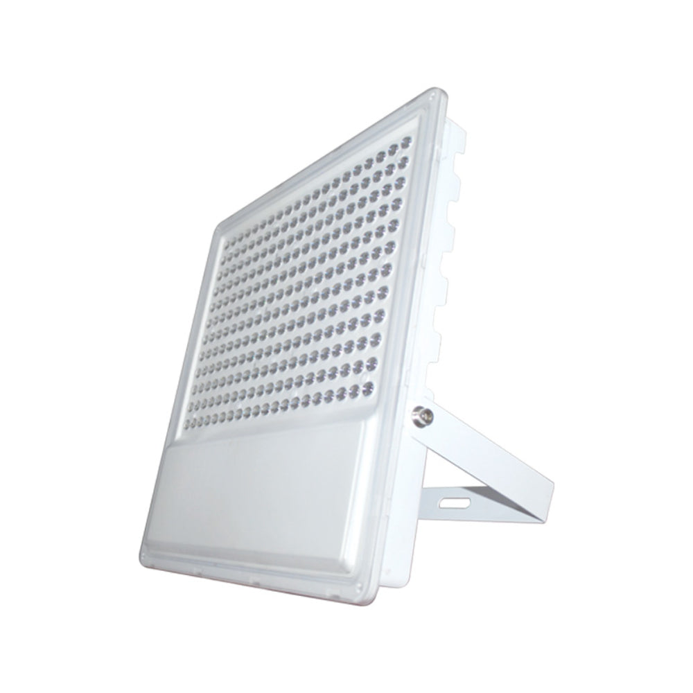 FortuneArrt Flood Light (FLJD)