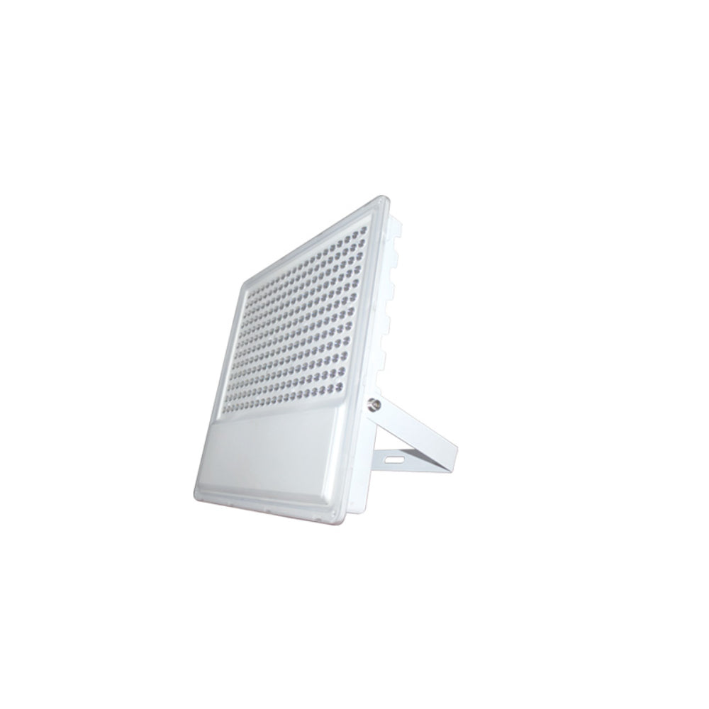 FortuneArrt Flood Light (FLJD)