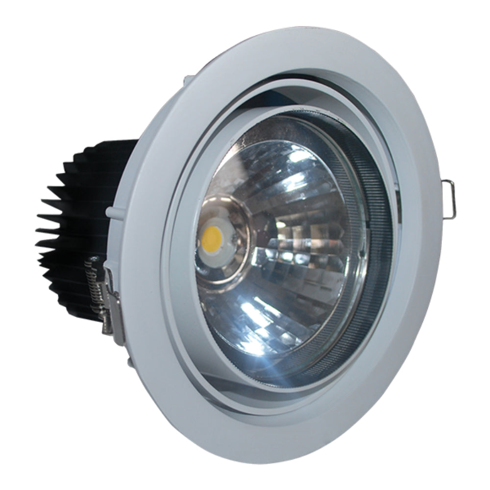 FortuneArrt 30 WATT LED COB Light LC30R/2