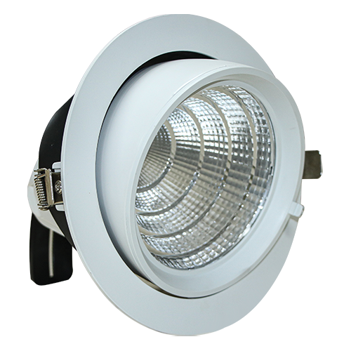 FortuneArrt 50 WATT COB Zoom Light LCZ50R