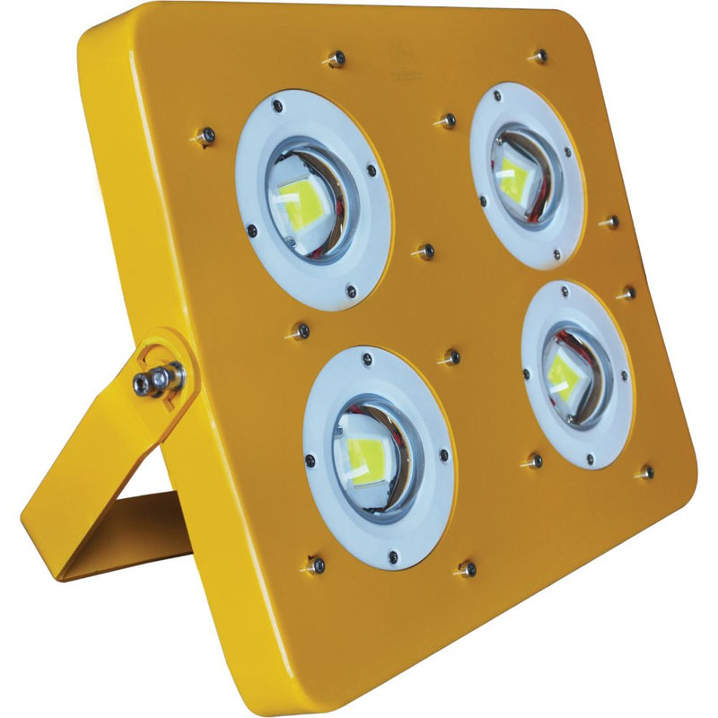 FortuneArrt Flame Proof Flood Light FAFLPFL01/