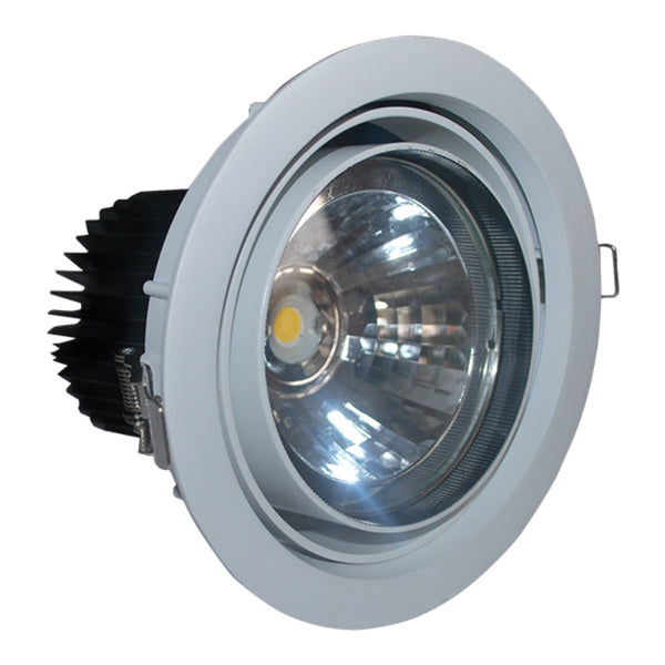 FortuneArrt 30 WATT LED COB Light LC30R/2