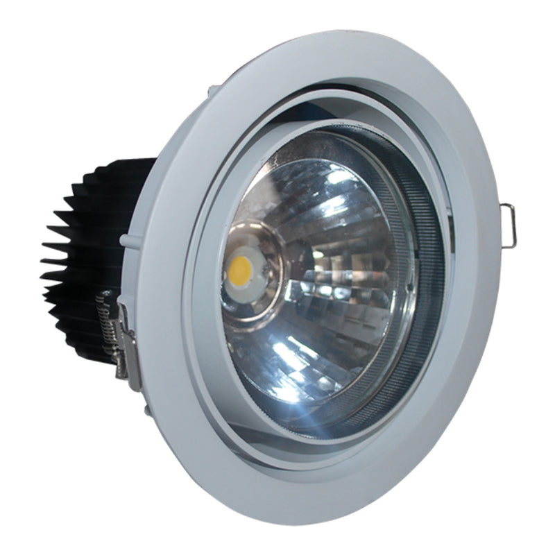 FortuneArrt 30 WATT LED COB Light LC30R/2